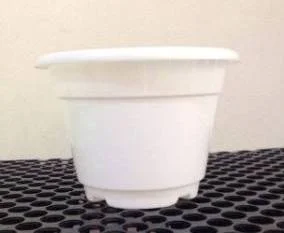 Chậu tròn bé