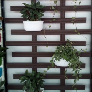 op-tuong-logia-ban-cong-sole-3 Ốp tường logia ban công sole